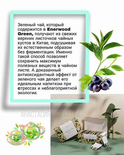 Зелёный чай | Листья, Зеленый чай, Чай Картинка - Зелёный чай | Листья, Зеленый чай, Чай