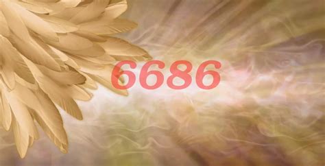What Is The Message Behind The 6686 Angel Number Thereadingtub