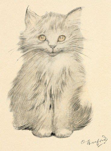 Kitten Portrait I Love All Of The Cat Drawings By Oliver