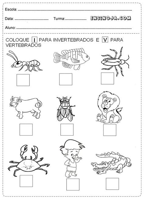 Atividade De Ciencias Sobre Animais Vertebrados E Invertebrados 3 Ano