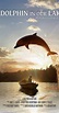 A Dolphin in Our Lake - Awards - IMDb
