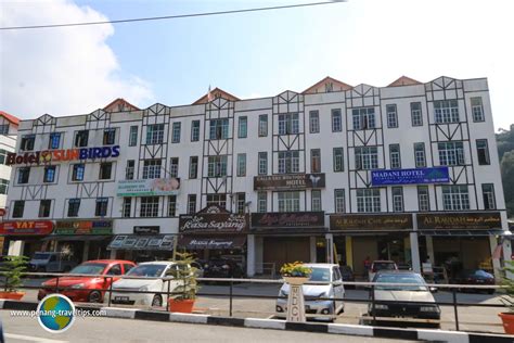 Fotografía de copthorne hotel cameron highlands, brinchang: Marigold Square, Cameron Highlands