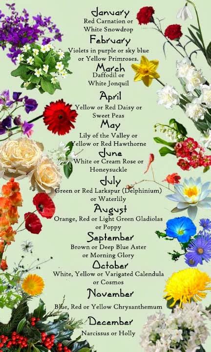 Birth Month Flowers ~ Fact Information Truth