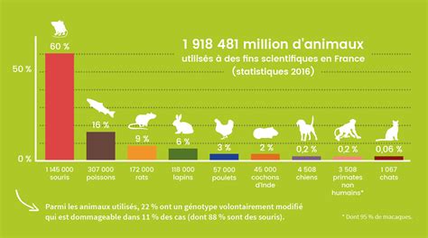 Publication Des Statistiques 2016 Sur Lexpérimentation Animale