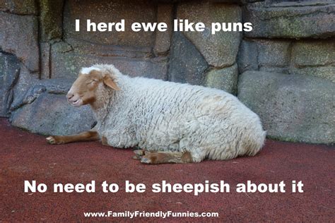 Sheep Puns Names Goimages Board