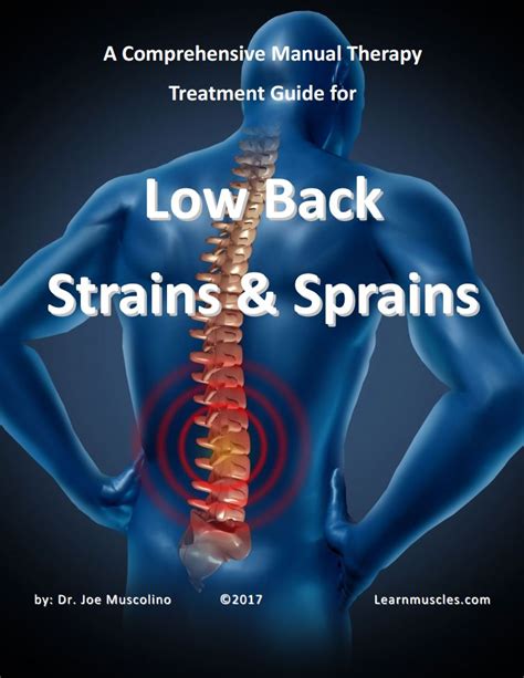 A Comprehensive Manual Therapy Treatment Guide For Low Back Strains And Sprains Learn Muscles