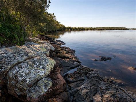 Karuah National Park Attraction Tour Limeburners Creek Mid Coast