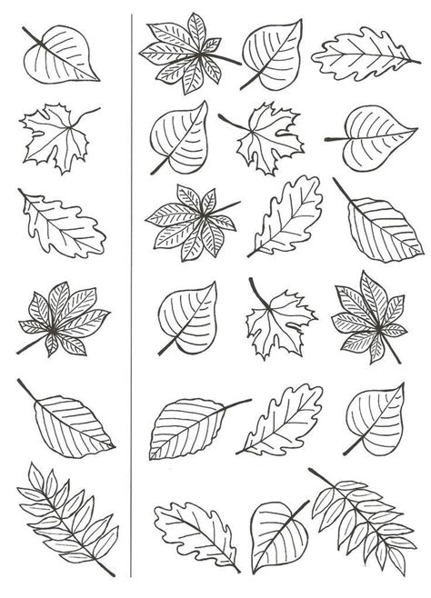 Coloriage automne, Activités automne maternelle, Activité automne