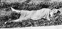 Who Murdered Elizabeth Short, the Black Dahlia? - Soapboxie