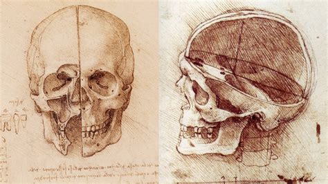 How To Draw A Skull Anatomy Master Class Youtube