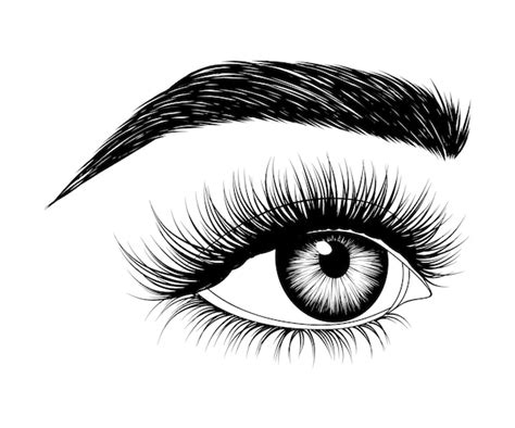 Ojo De Mujer Dibujado A Mano Vector Premium