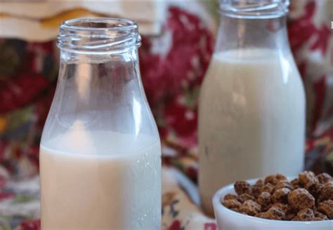 The Best Recipes For Your Tiger Nut Drink