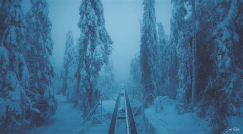 Creepy Winter Forest Jani Ojala Photography