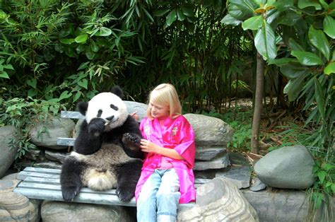 Pet A Panda Home