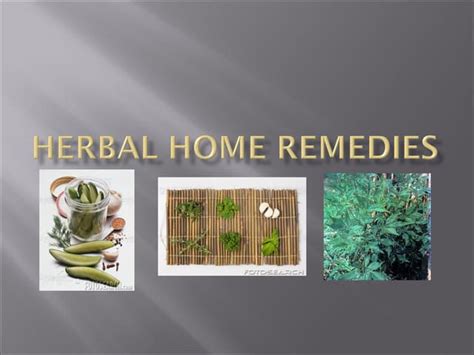 Herbal Home Remedies97 Ppt