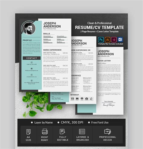 30 Best Web And Graphic Designer Resume Cv Templates Examples For 2022