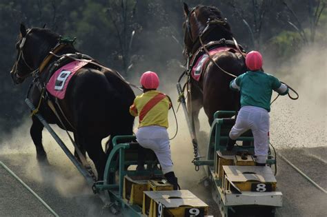 horse racing  japan  gamblers paradise time  tokyo