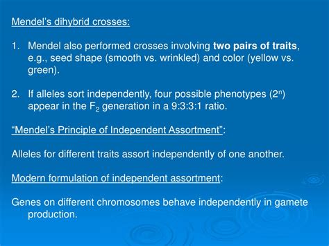 Maybe you would like to learn more about one of these? A Dihybrid Cross Involves The Crossing Of Just One Trait. - Chapter 18 Mendelian Genetics ...