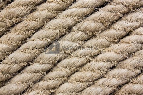 Texture Of The Ropes By Olegzhukov Vectors And Illustrations With