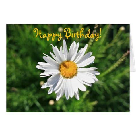 Happy Birthday Blank Daisy Card Zazzle