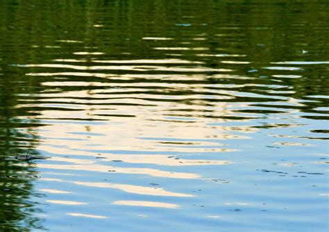 Water With Reflections Free Stock Photo Public Domain Pictures