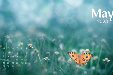 2023 Monthly Calendars Wallpapers Wallpaperaccess