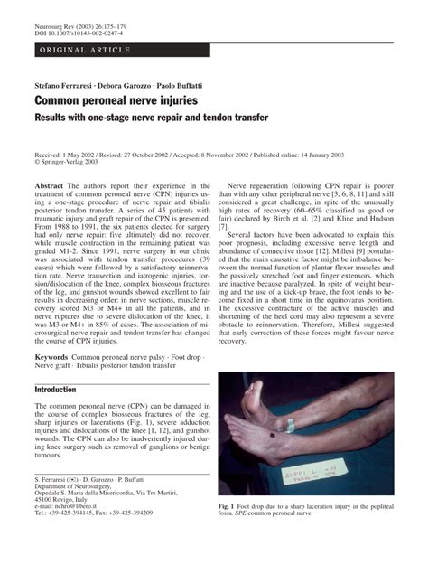 Pdf Common Peroneal Nerve Injuries Results With One Stage Nerve