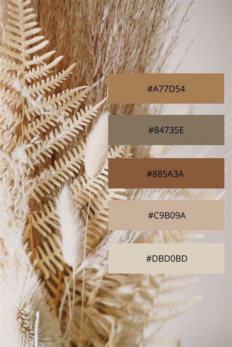 Neutral Color Palette Aesthetic