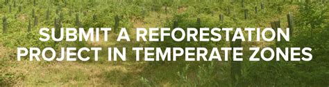 Submit A Reforestation Project In Temperate Zones Reforest Action