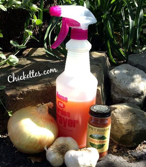 17 Best Images About Homemade Pest Repellent On Pinterest