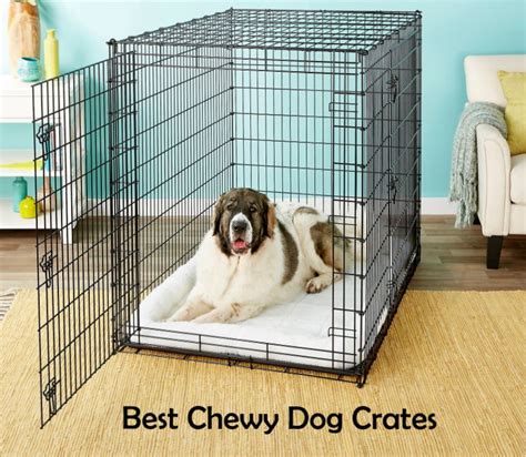 Best Chewy Dog Crates Metal Plastic Crate For Large And Small Dogs