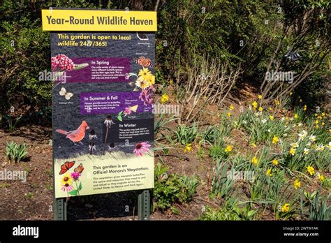 The Central Park zoo is a year-round wildlife Haven, 2024, New York