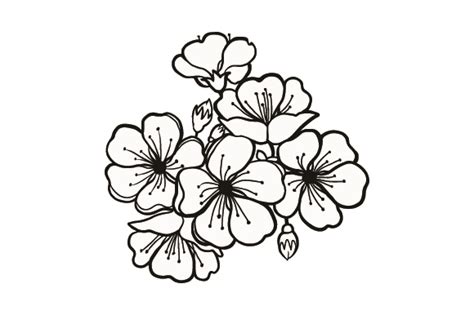 Download Cherry Blossoms SVG File - Free SVG Files for Cricut