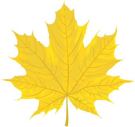 Yellow Fall Leaf Clipart