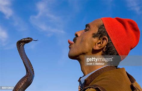 Man With Snake Tongue Photos And Premium High Res Pictures Getty Images