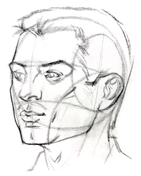 Proko Quickly Draw Heads With The Loomis Method Part 1 Drawing