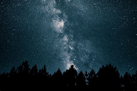 Forest And Stars Wallpapers Top Free Forest And Stars Backgrounds