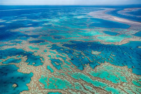 Amazing Facts About The Great Barrier Reef