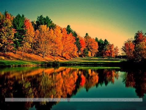 🔥 38 Autumn Sunsets Wallpaper Backgrounds Wallpapersafari