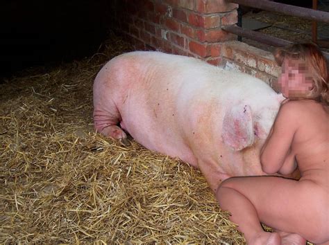 Farm Pig Bdsm Hot Sex Photos Best Porn Pics And Free Xxx Images On