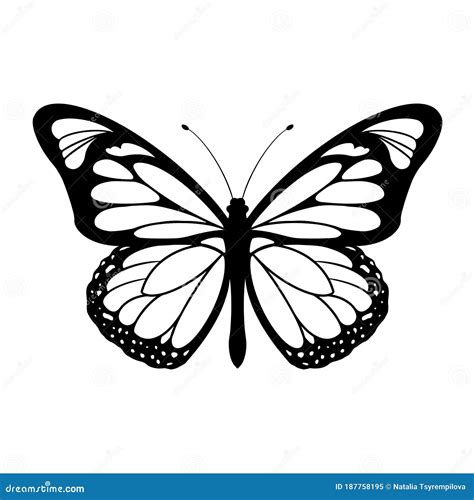 Vector Illustrations Of Butterfly Silhouette Icon On White Background