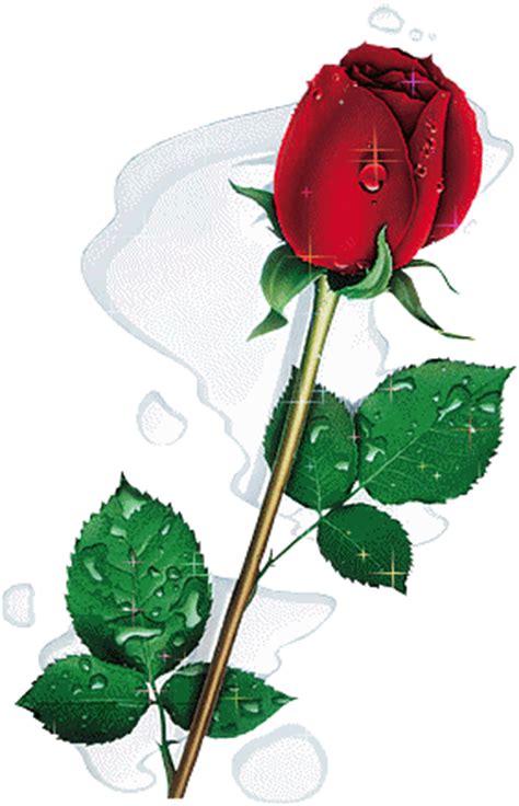 Ver más ideas sobre rosas animadas, rosas, flores. Imagem para face Gif animada de flor botão de rosa 4671