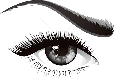 Eyelash Vector Free Download Eyelashes Lashes Clipart Eyelash Eye