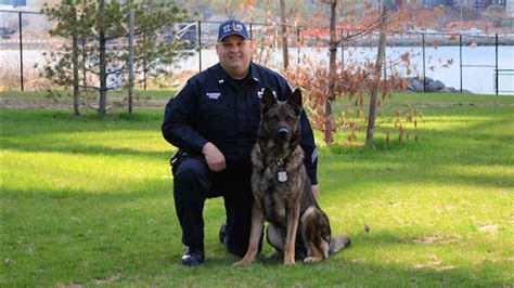 Nypd K 9 Units Prove Hero Dogs More Than Just Mans Best Friend