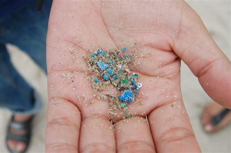 Micro Plastics An Invisible Danger To Human Health