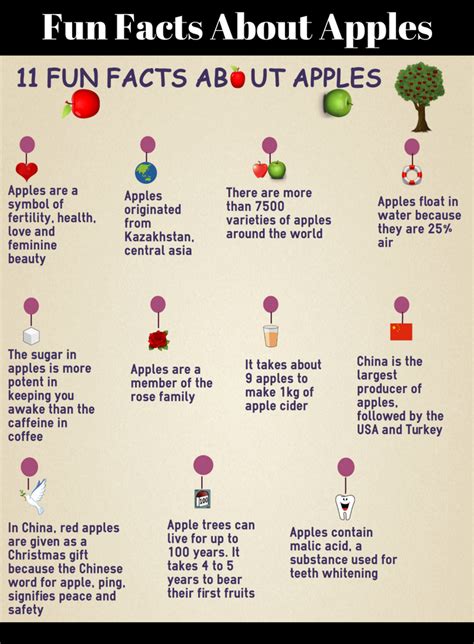 Fun Facts About Apples My Crazy Email