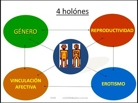 Psicologiamedica Twitterissä 4 Holones Componentes De La Teoría