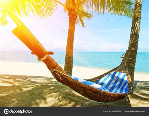 Beautiful Beach Hammock Between Two Palm Trees On The Beach Holiday My Xxx Hot Girl