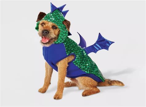 Green Dragon Dog Costume Ubicaciondepersonascdmxgobmx