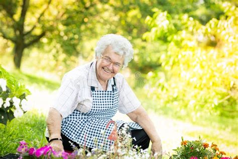 Senior People In Gardening Like Hobby And Activity Stock Image Image